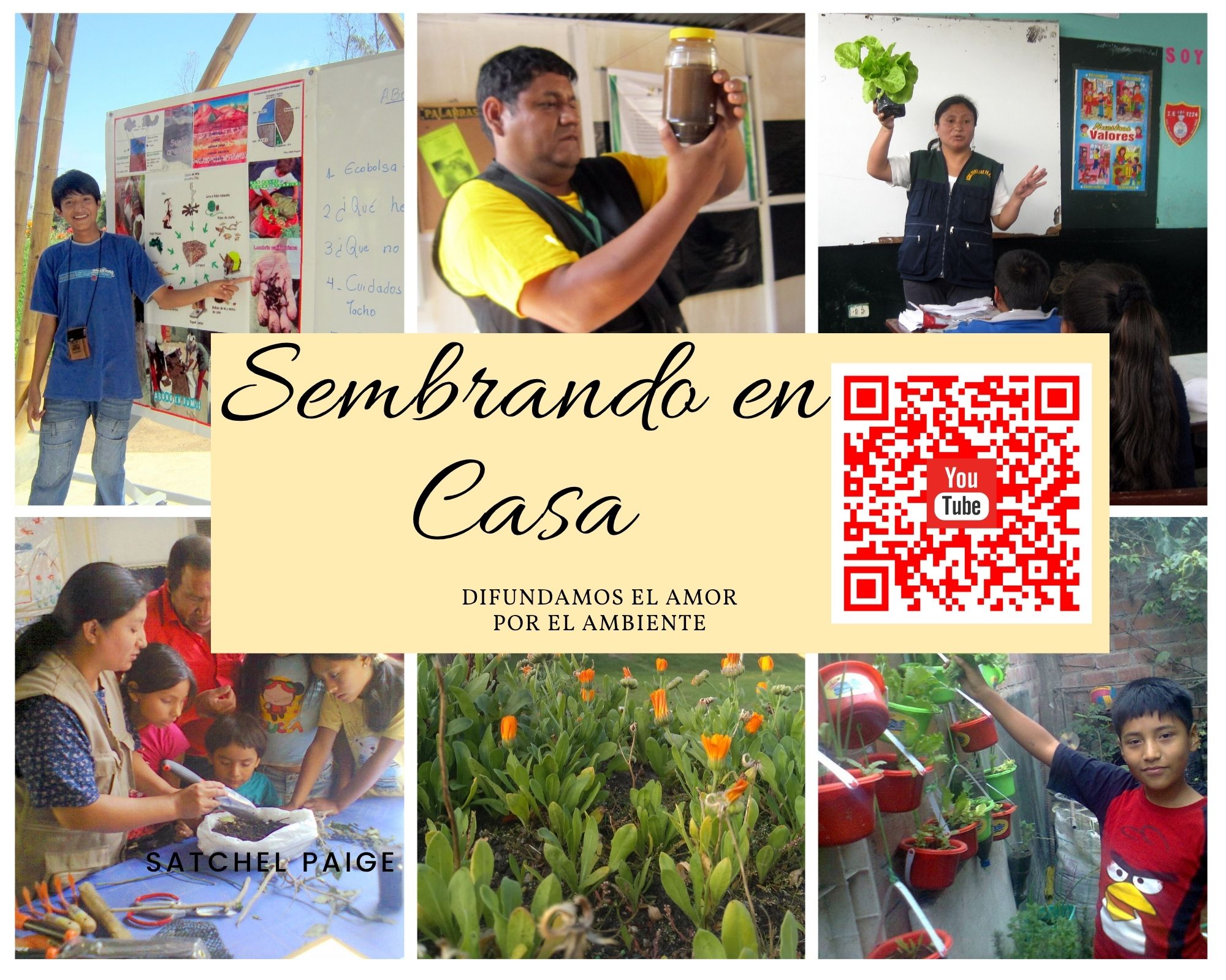 Diseño de fotografias